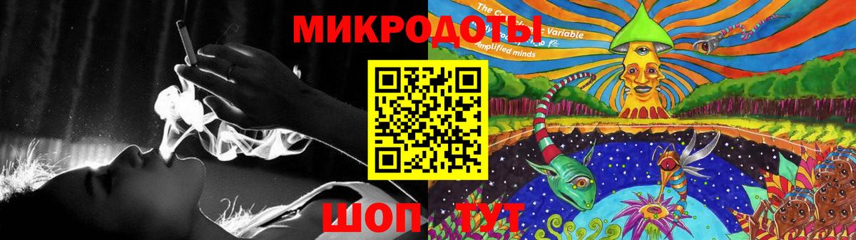 Псилоцибиновые грибы Cubensis Дзержинский